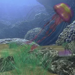 Jellyfish rigged 3d model