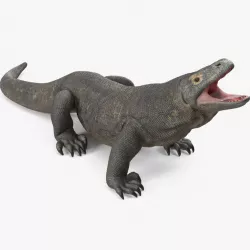 Komodo Dragon Standing Pose 3d model