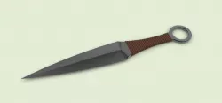 Kunai 3d model