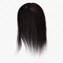 Lisa Hair 3d model