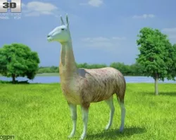 Llama (Lama Glama) 3d model