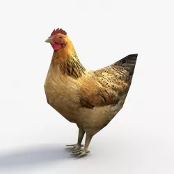 Low Poly Hen 3d model