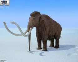 Mammoth (Mammuthus) 3d model