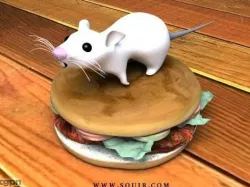 Mouse 3d model