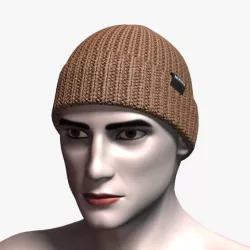 Nixon Regain Beanie 3d model