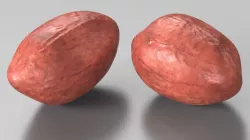 Peeled Peanuts 3d model