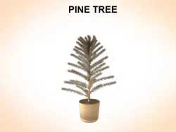 Pine Tree 3d model