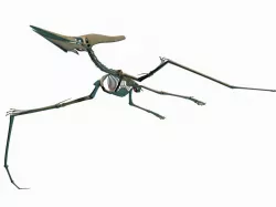 Pteronodon Skeleton 3d model