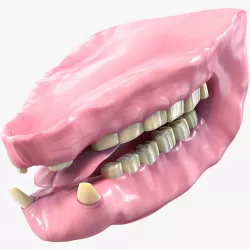 Rhino Mouth 3d model