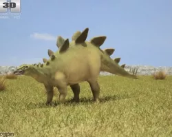 Stegosaurus (Stegosaurus Armatus) 3d model