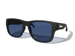 Sunglasses 3d model