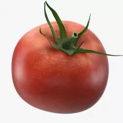 Tomato 3d model