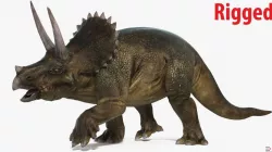 Triceratops Rigged 3d model