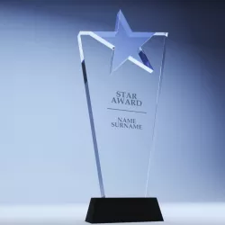 Trophy award cup low poly 09 3d model