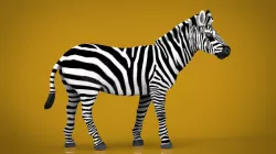 ZEBRA 3d model