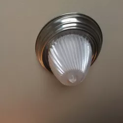 220mm Ceiling Light Diffuser