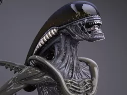 Alien Xenomorph High Detail 3d model
