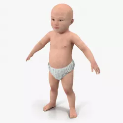 Asian Baby 3d model
