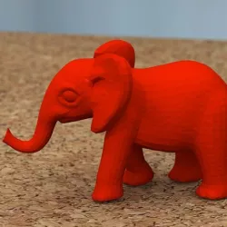 baby elephant