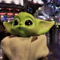 Baby Yoda ( The Mandalorian )