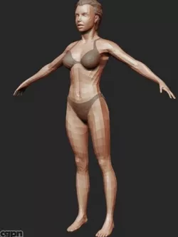 Basic woman in bikini 3d model
