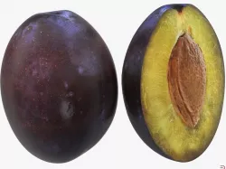 Blue Plum 3d model