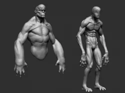 Body Forms 3d model