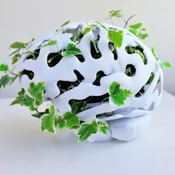 Brain Planter