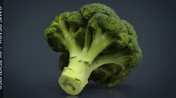 Broccoli 3d model