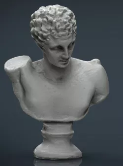 BUST 3 3d model