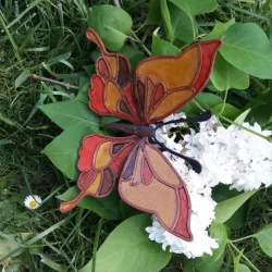 butterfly