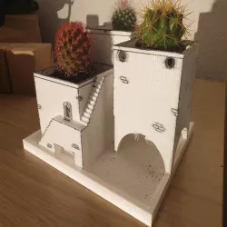 Cactus Pot