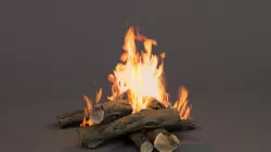 Camp Fire 3d model