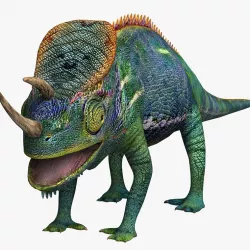 Chameleon 3d model