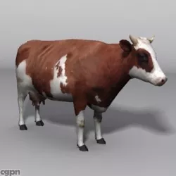 cow 3d model