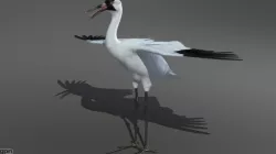 Crane 3d model