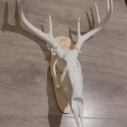 printable deer targets 3d models 【 STLFinder