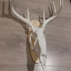 Deer Skull Printable Large!