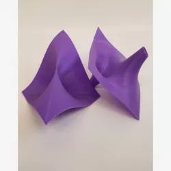 Discontinuity Surfaces