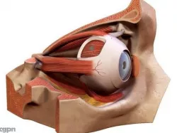 Eye 3d model