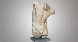Fawn Torso 3d model