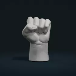 Fist