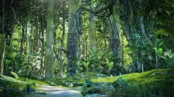 Forest Scene 3 3d model