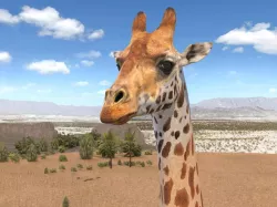 Giraffe 3d model