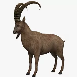 Goat Mountains 3d model