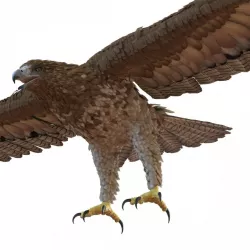 Gurney Eagle Rigged 3d model