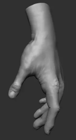 Hand 3d model