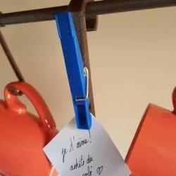 Hook clothespin