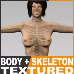 Human Female Body and Skeleton - Anatomy 3d model