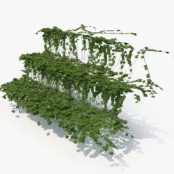 Ivy Stairs 3d model